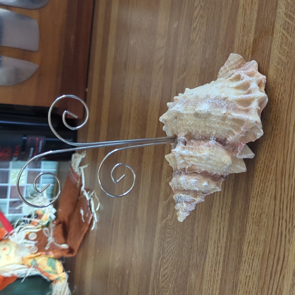 Seashell Picture Holder
